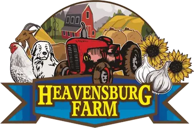 Heavensburg Farm — a red barn, tractor, goat, hen and guardian dog beneath sunflowers and garlic